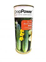 Crop Power F1 Hybrid Cucumber DC777 Black Steel Seed Benih Timun (100gm)