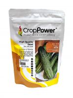 Crop Power F1 Hybrid Cucumber DC1119 Viagra Seed Benih Timun (100gm)