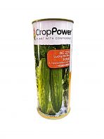 Crop Power F1 Hybrid Bitter Gourd BG2211 Lucky Strike (100gm)