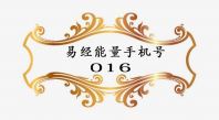 016-8668772 rm700