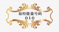 010-9494413 rm800