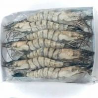 Frozen Tiger Prawn (14 pcs)