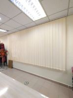 Vertical Blind