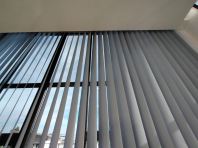 Vertical Blind