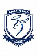 Angels Bud Academy