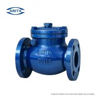 ARITA Cast Iron Swing Check Valve PN16   Flanged End