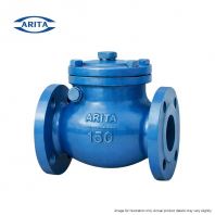 ARITA Cast Iron Swing Check Valve ANSI 150   Flanged End