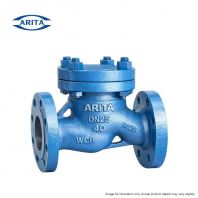 ARITA Cast Steel S-Pattern Check Valve PN40   Flanged End