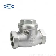 ARITA Stainless Steel Swing Check Valve BSPT   Threaded End