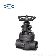 ARITA Forged Steel A105N Globe Valve Class 800   Socket Weld / NPT Threaded End