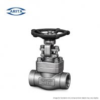 ARITA Forged Stainless Steel Globe Valve Class 800   Socket Weld / NPT Threaded End (SS304 / SS316)