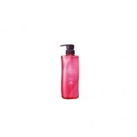 Silkyluxe Shmpoo 500ml