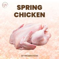 Spring Chicken/Ayam Super¡¾NOS¡¿ Spring Chicken/Ayam Super¡¾NOS¡¿