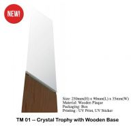 TM01 -- Crystal Trophy with Wooden Base
