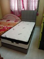 Single Bed Frame + Mattress Set   Affordable Quality Kids Bed & Homestay Bed Malaysia  Modern Upholstered Headboard  Budget Friendly Hostel & Rental Room Bed Set