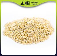 Herbal Care Pearl Barley | ��޲�� | Hordeum Vulgare