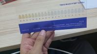 Transparent Sheet Card