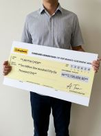 Mock Cheque
