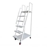 Ladder Trolley