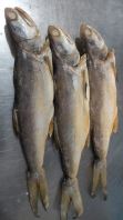 Premium Salted Fish- Threadfin Fish (Senangin) Ʒʣɽ÷-Ұ
