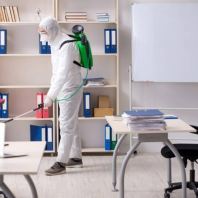 Office Pest Control Johor Bahru