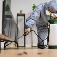 General Pest Control