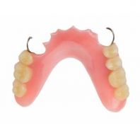 Acrylic Denture