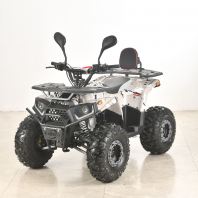 ATV Ranger GYB - Beige Camouflage