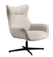 IOI Designer Arm Chair