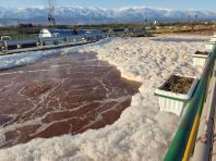 Managing Foam Issues in Activated Sludge Systems: A Practical Guide for Malaysian Industries