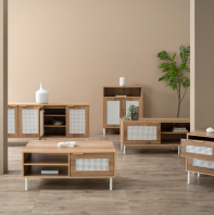 Dallas Living Room Set