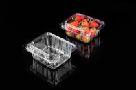 FRUIT CONTAINER : GLD-250G