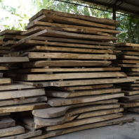 Raw Wood Slab