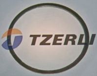 V275748 EX MANIFOLD RING 