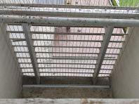 Invisible Safety Grille for Pigeon Prevention @ [Avenue Garden Penang] | Lifetime Warranty | SSR Malaysia