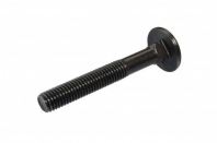 Carriage Bolt (Half Thread)