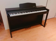 Oslin Digital Piano DP-100