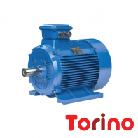 TORINO Induction Motor IE3 Series