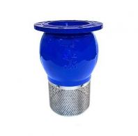 Foot Valve