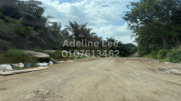 Senai Freehold 24 Acres Agriculture Land for Sale | Near Senai Airport | Industrial Zoning | Oil Palm Trees | Johor