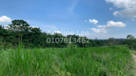Freehold 7+ Acres Agricultural Land for Sale in Sungai Tiram, Johor   Flat Yellow Soil, Ready for Development