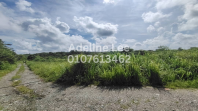 10 Acres Freehold Industrial Land for Sale in Sungai Tiram, Johor   Medium Industry Zone, Flat Yellow Soil, Road Access