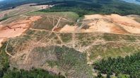  Tanjung Langsat Industrial Land for Sale  Freehold Heavy Industry Land in JS-SEZ