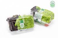 Mix Lettuce 250gm+- (12pck/ctn) Mix Lettuce 250gm+- (12pck/ctn)