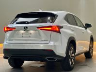 Lexus NX300T Package