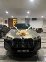 Champagne Organza Ribbon Car Decoration �鳵����