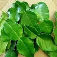Daun Limau Pkt (20GM)