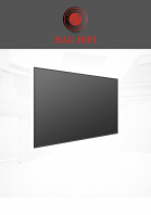 DLT100-E Hisense 100inch Rollable/ Soft Fresnel Fixed Frame ALR Screen