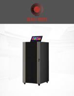 B6-BLK Wooden Door Cabinet 2-Layer