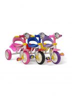  Childrens Mini Tricycle   Fun & Colorful Ride for Kids!
